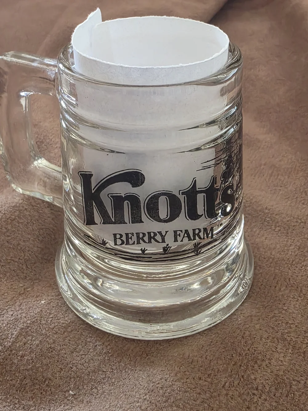 Knott's Berry Farm Glass Beer Stein Shot Glass